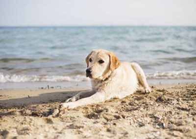 Spiaggia Pippo e Pluto