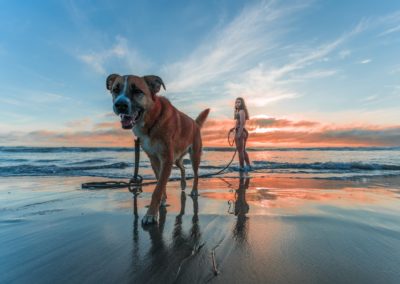 Spiaggia Pippo e Pluto